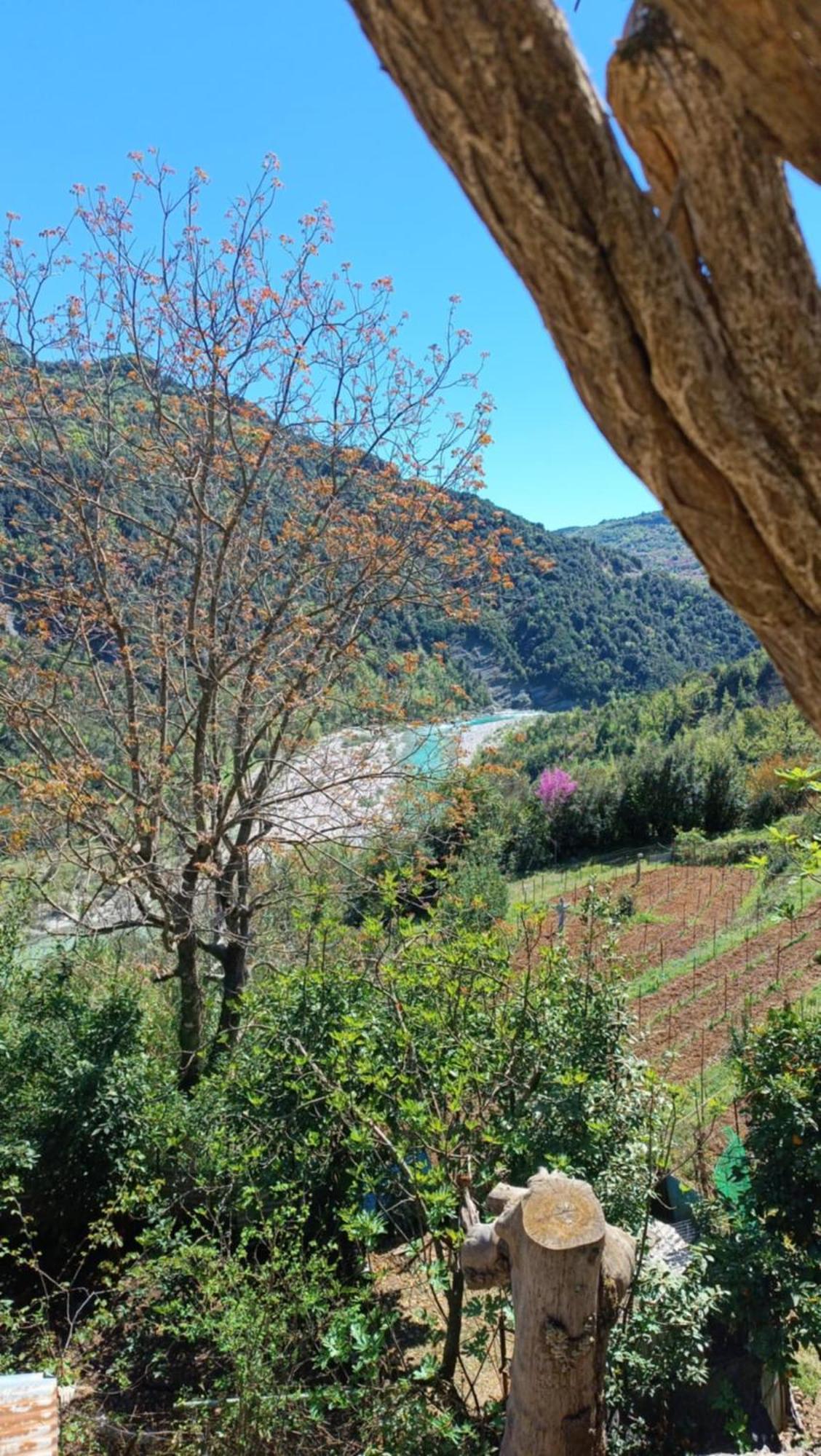 Ktimata Evdoxia Villa Platanoussa Kültér fotó